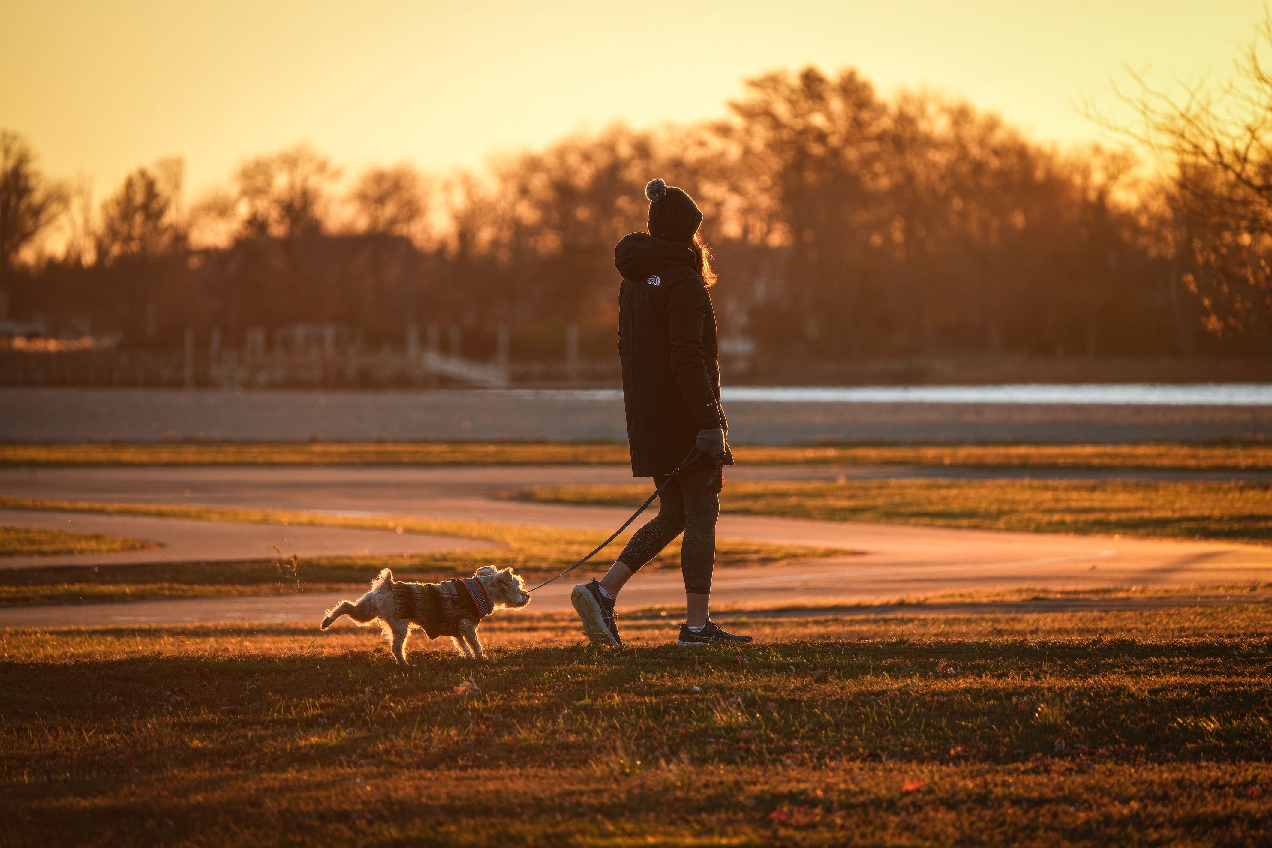 The Rise of the After-Hours Vet as a Lifestyle Essential for Gen Z Pet Parents — Photo by Cara Denison on Pexels