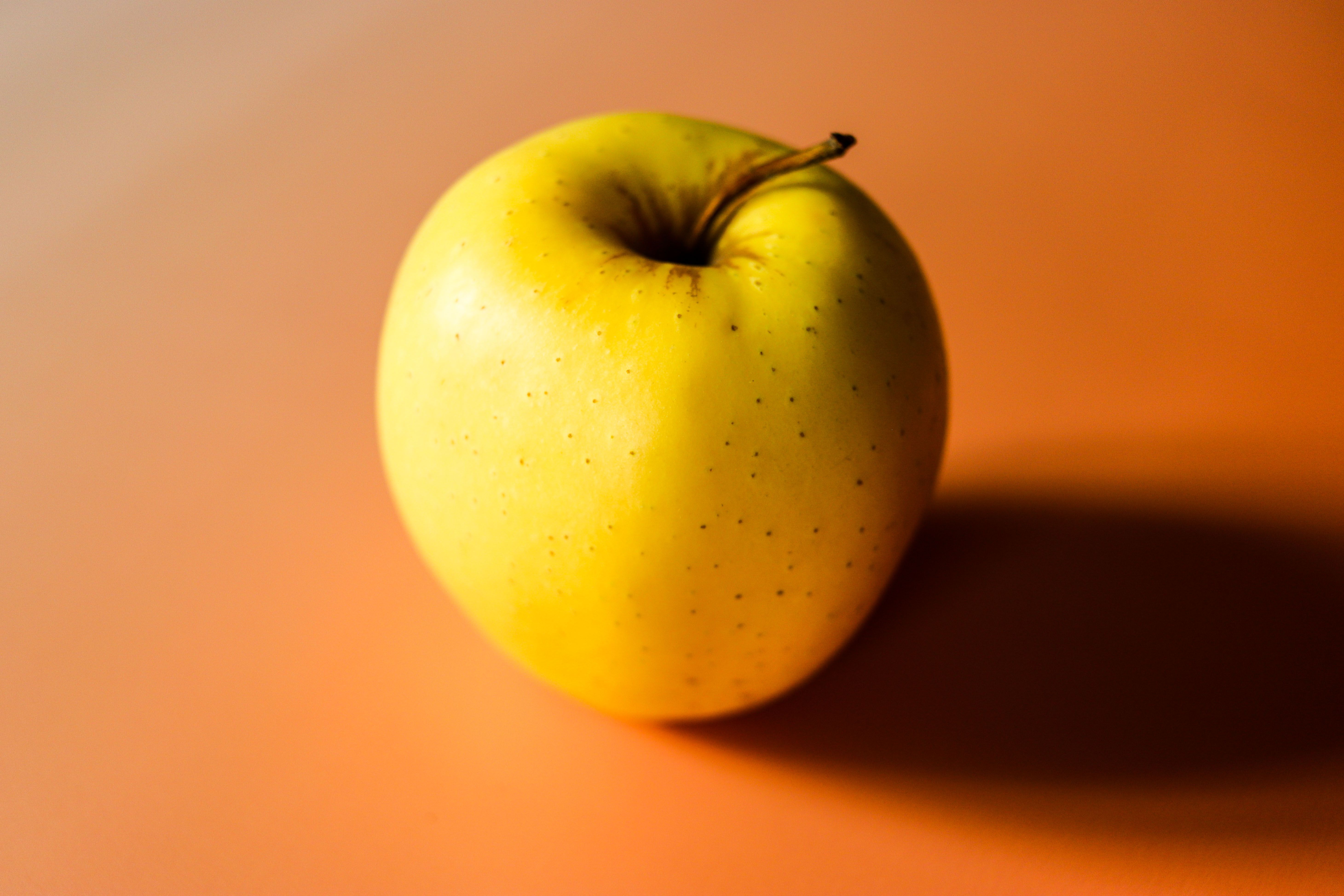 Nutrition Scientists Explain Apple Cider Vinegar Benefits For Weight Loss [fFWTwY25SqE] — Photo by Andréa Devillier on Pexels