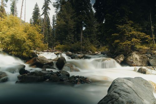 Free Serene forest stream in Kashmir with flowing water and lush greenery, captured in stunning detail. Stock Photo