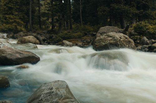 Free A serene view of a river rushing through the lush green forest of Kashmir, capturing nature's beauty. Stock Photo