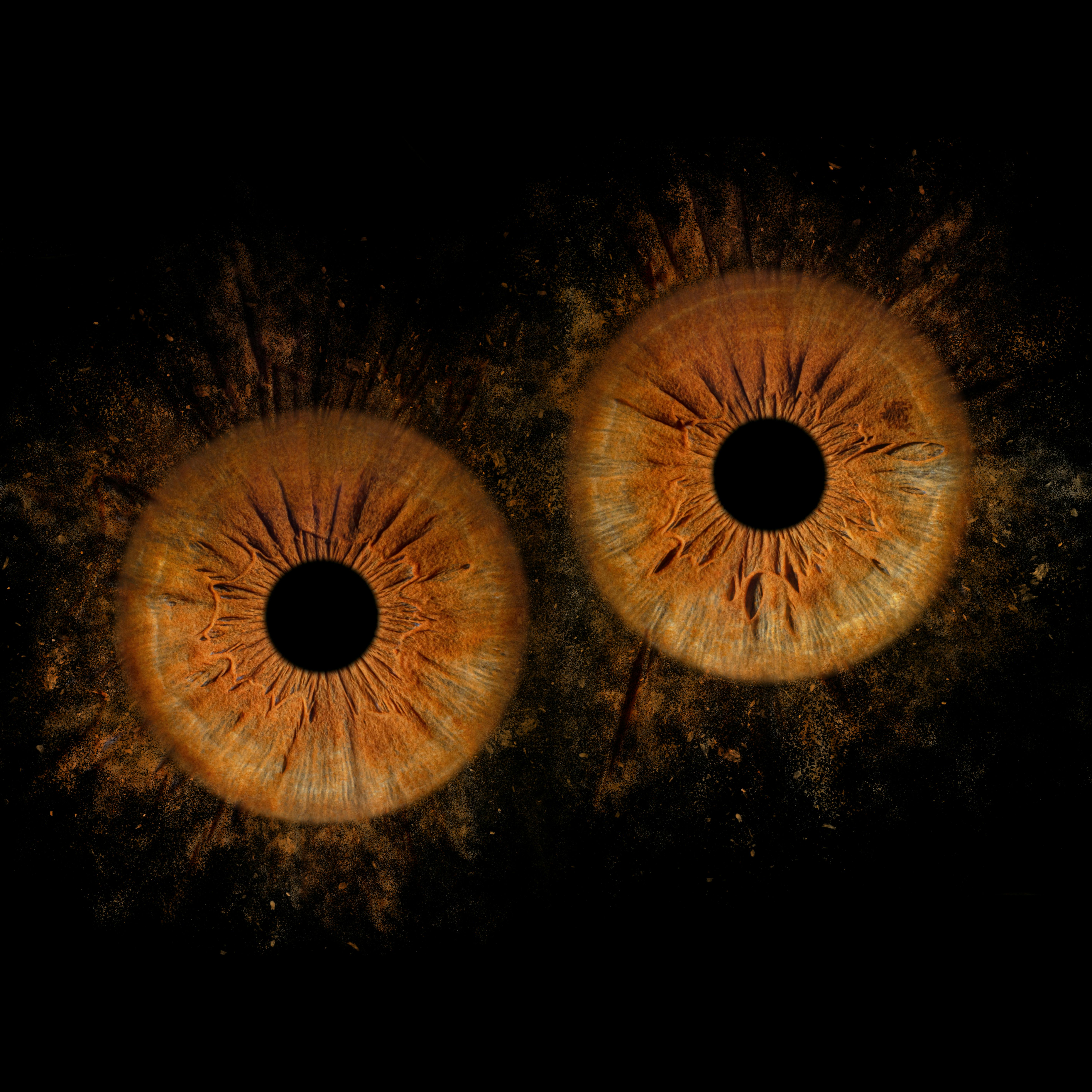 Detailed close-up of two brown irises resembling an abstract pattern highlighting intricate textures.