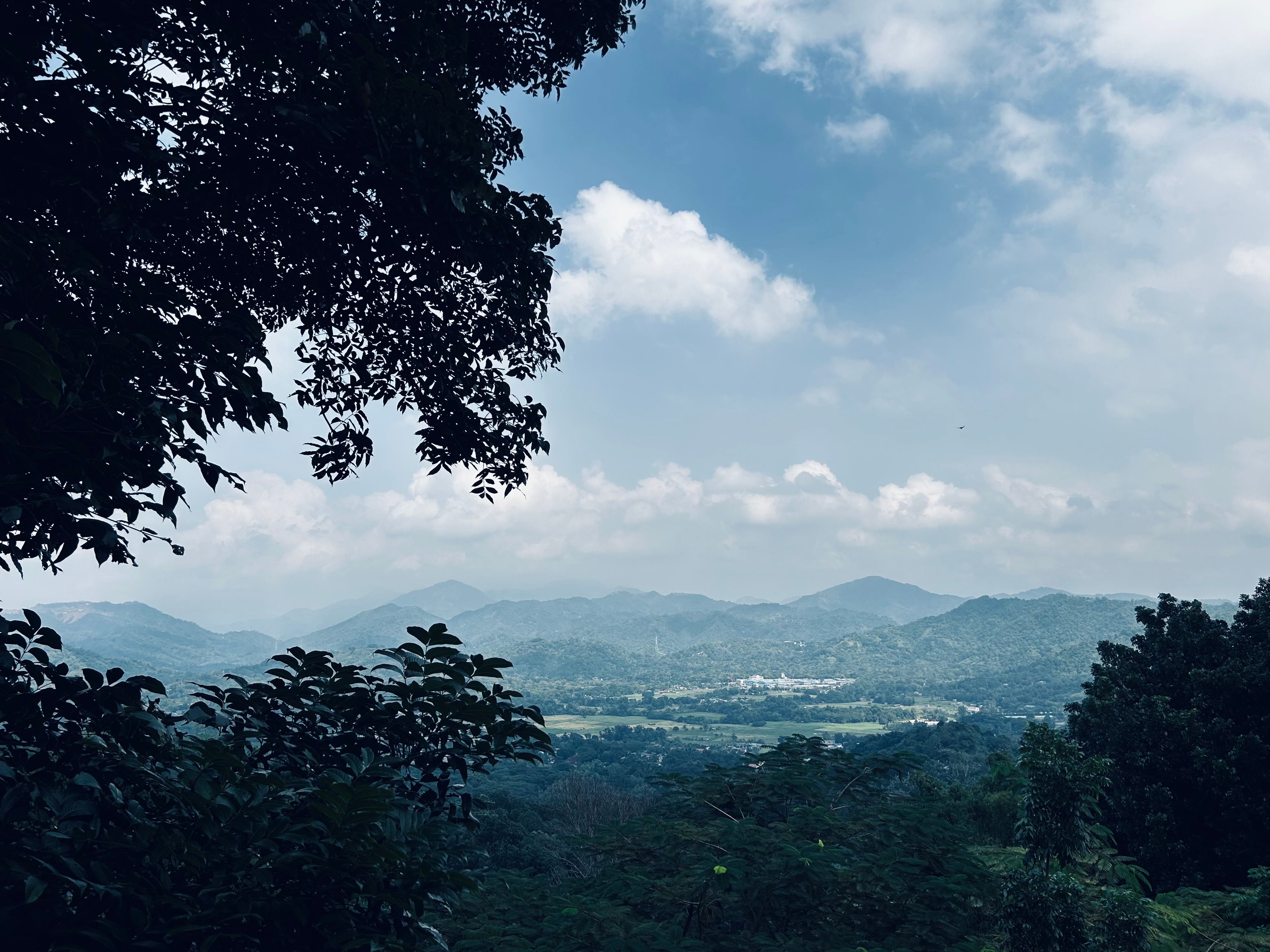 Scenic Mountain Landscape with Lush Foliage · Free Stock Photo