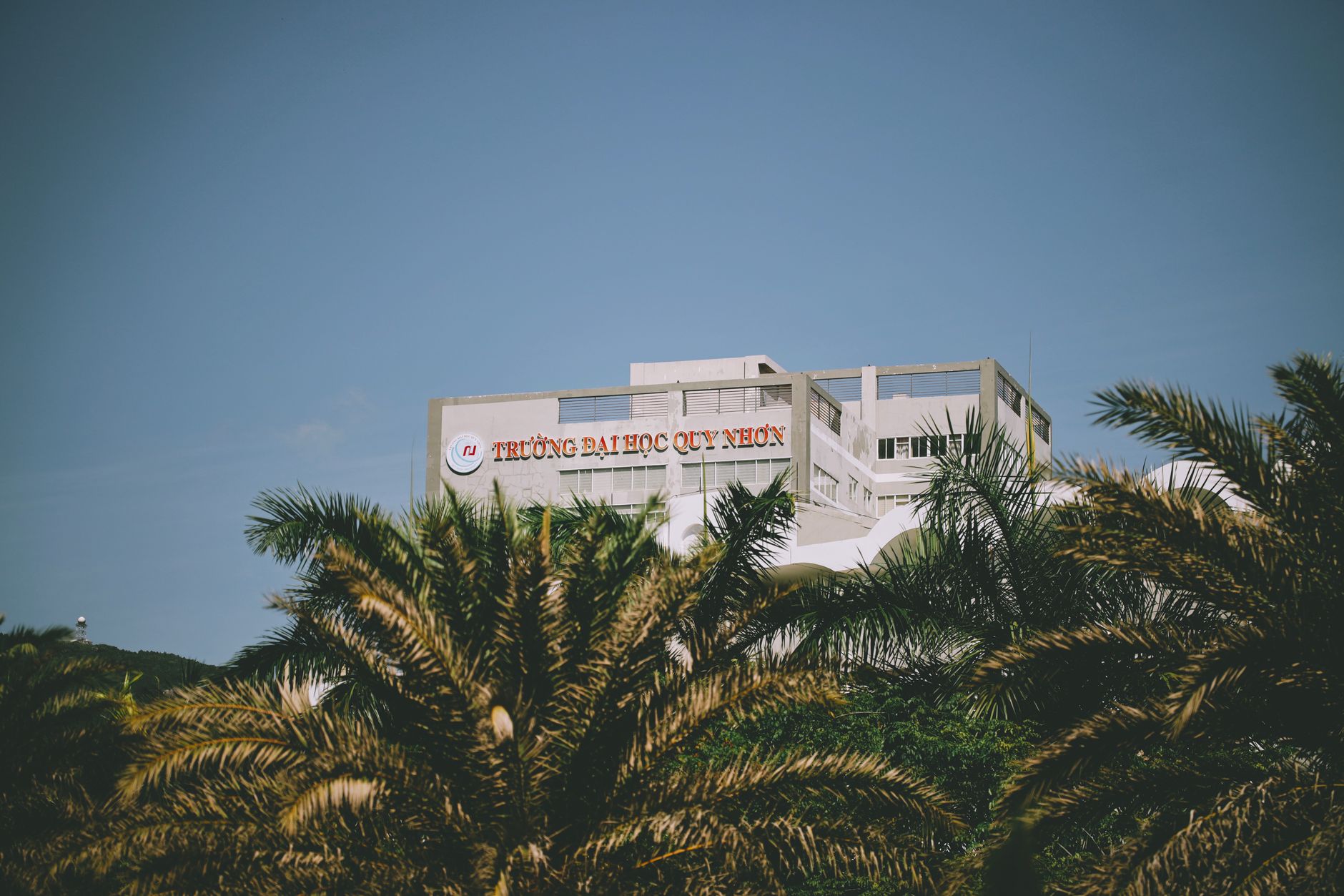Quy Nhon University building among lush palm trees against a clear sky.