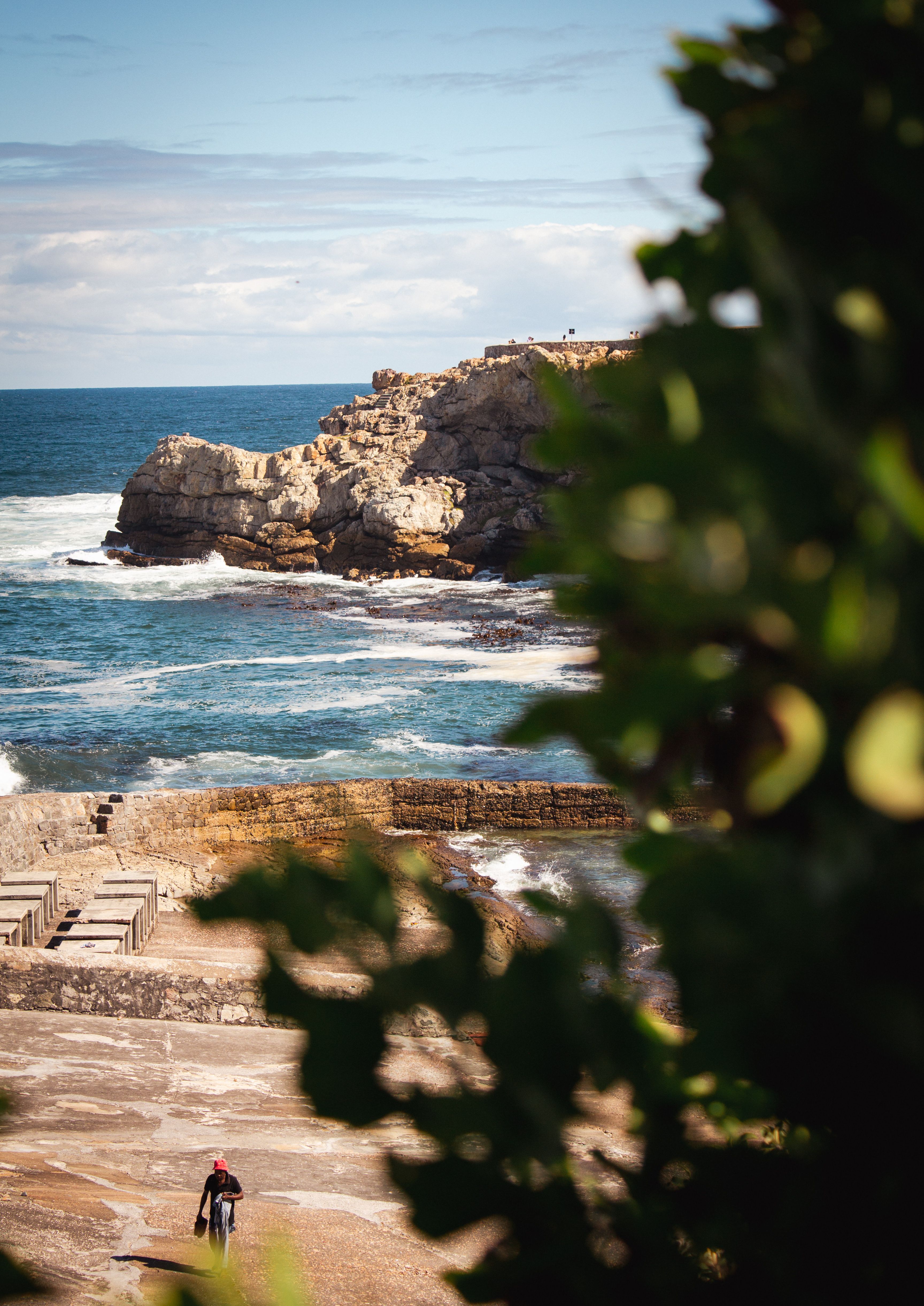 Scenic Coastal View with Lush Greenery · Free Stock Photo