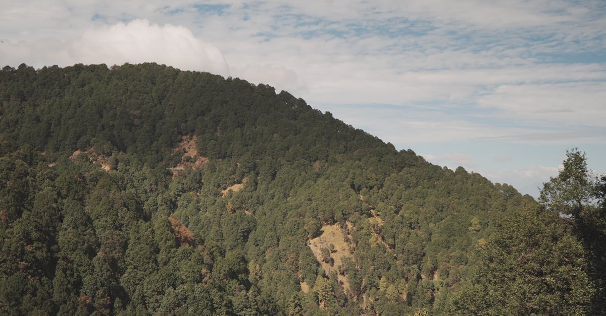 全家蔬食熱潮持續攀升 「植覺生活」年增兩成推新品搶市