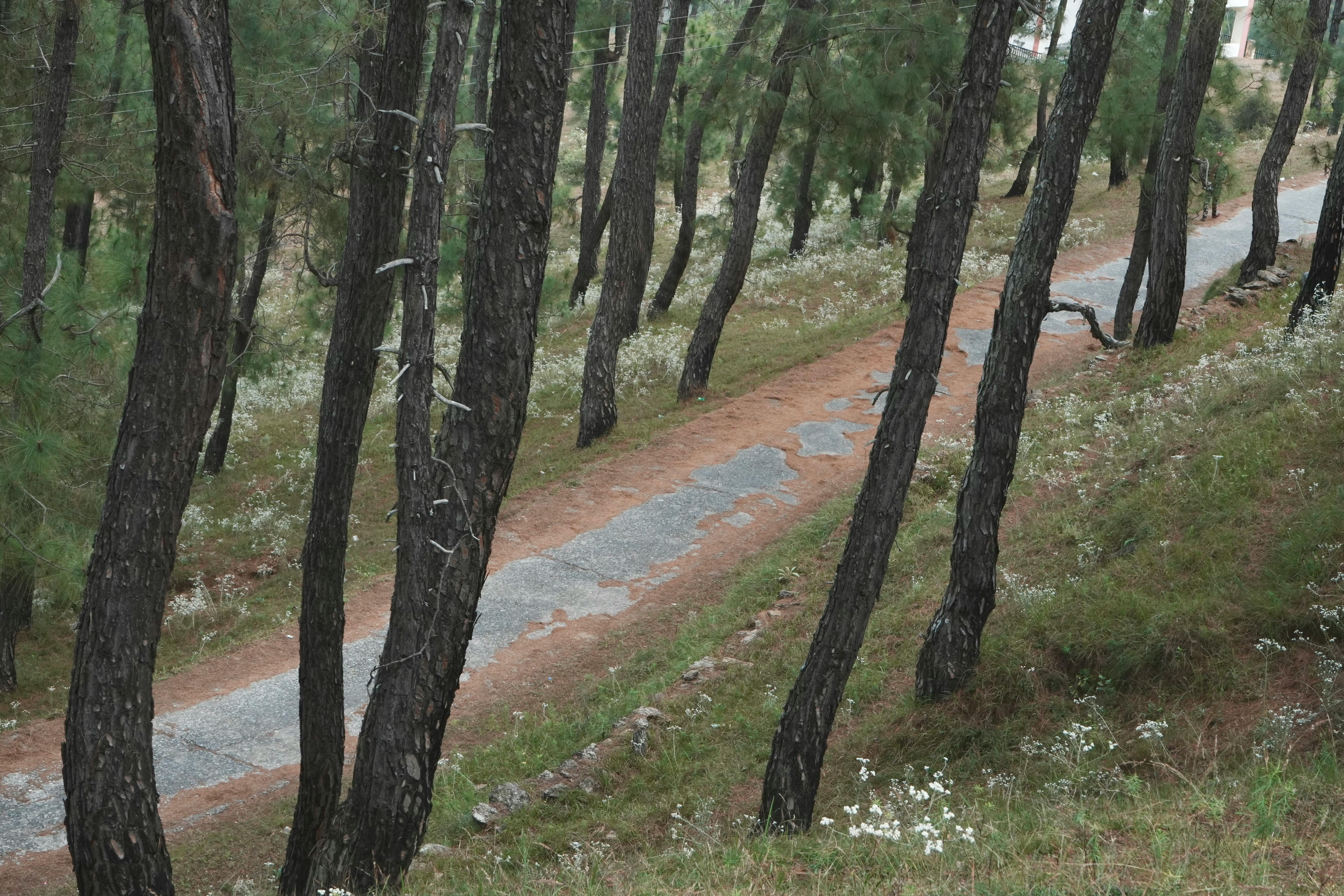 全家蔬食熱潮持續攀升 「植覺生活」年增兩成推新品搶市