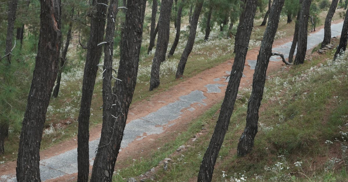 全家蔬食熱潮持續攀升 「植覺生活」年增兩成推新品搶市