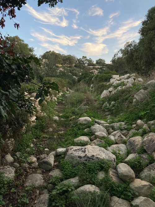 Free stock photo of nature, valley Stock Photo
