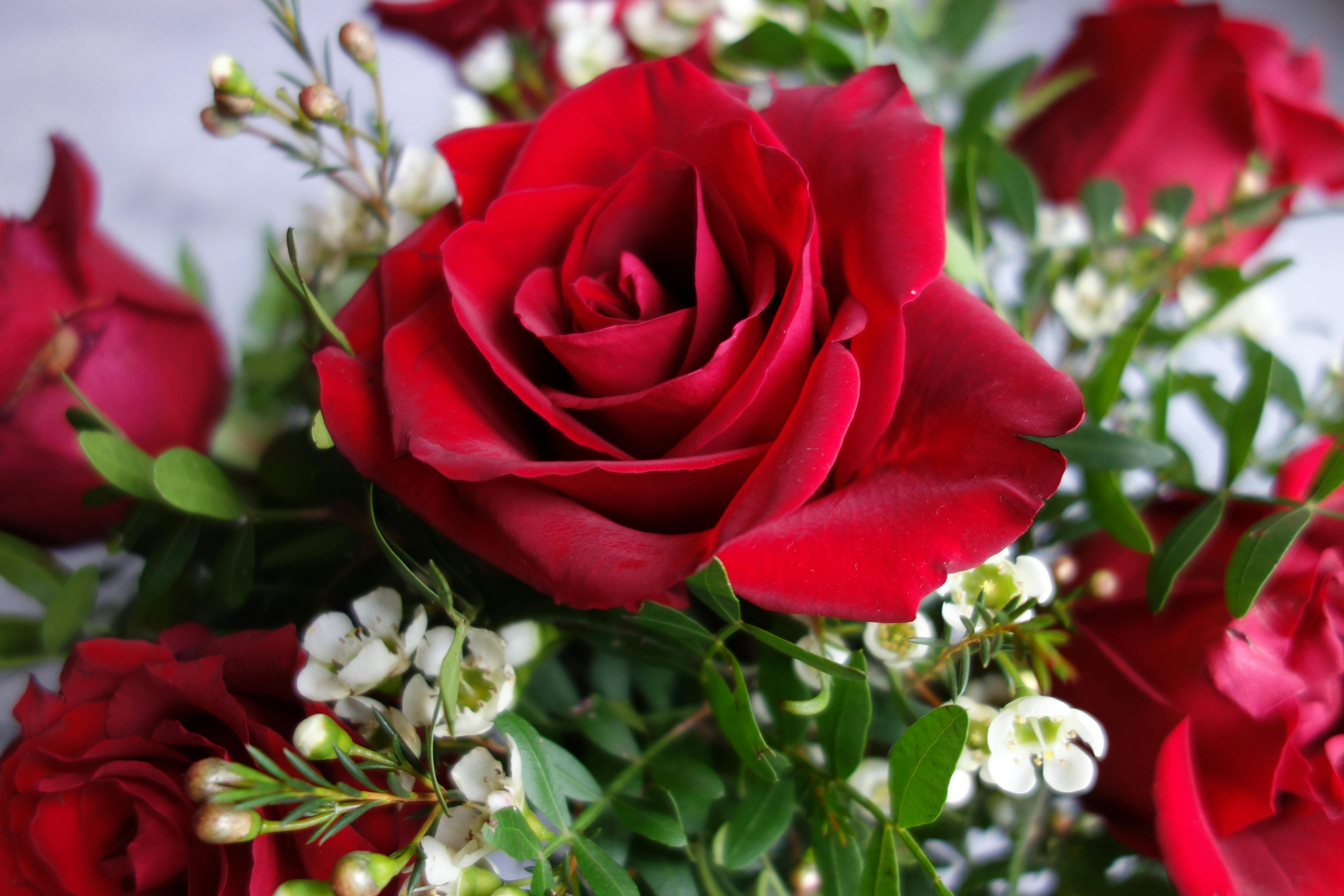 關於國家巨星：好萊塢生活你不可錯過的5大秘密