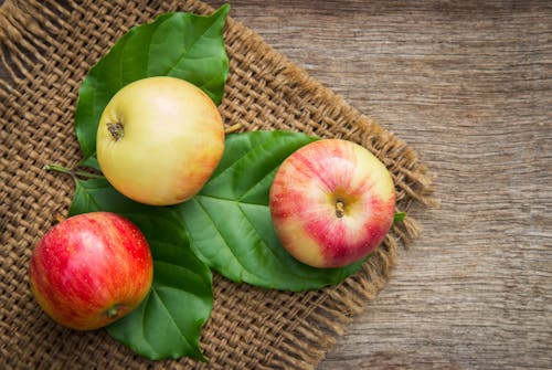 Free 红色和黄色的苹果果实在绿色的树叶上的特写照片 Stock Photo