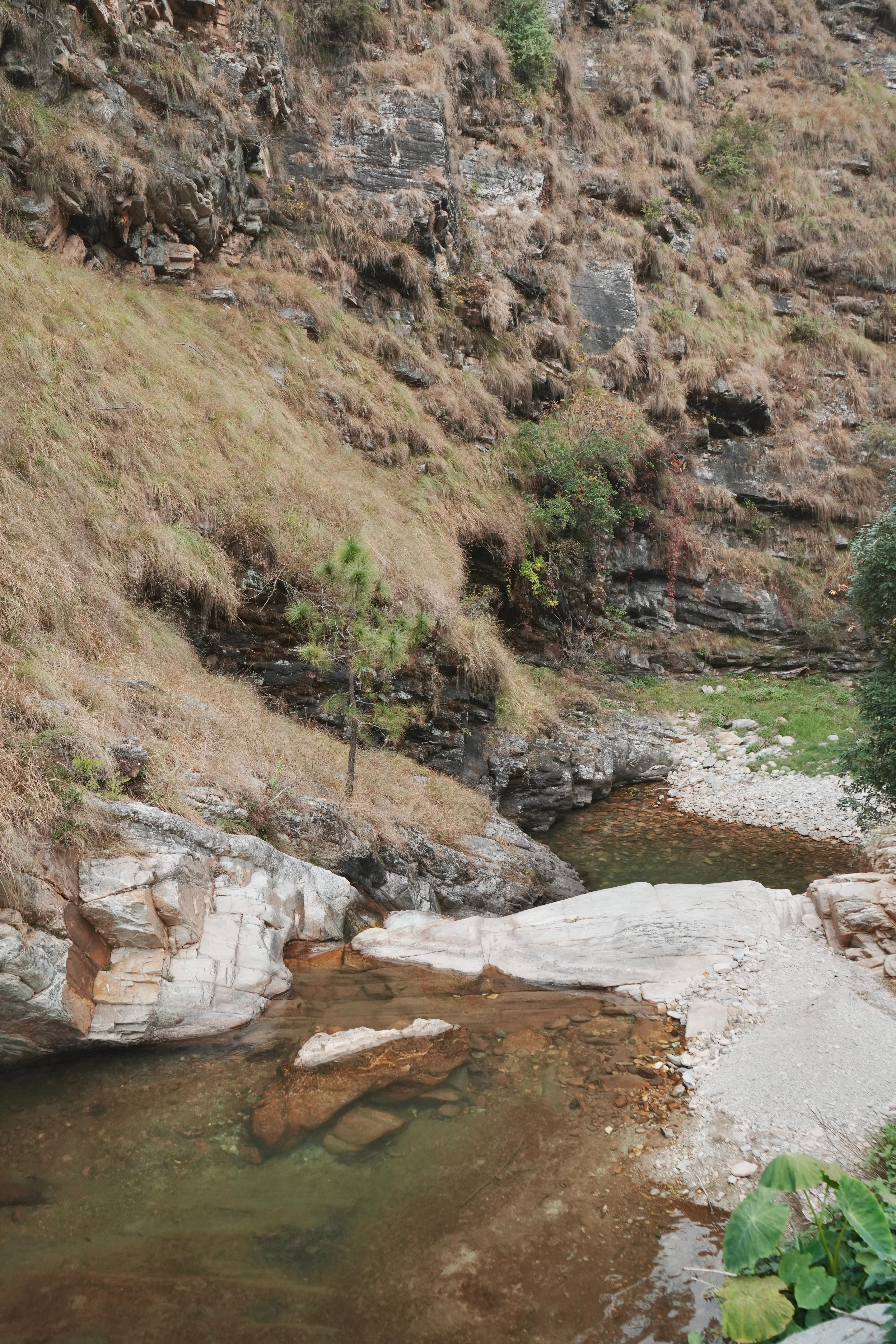 A tranquil stream flows through a rocky canyon surrounded by nature.