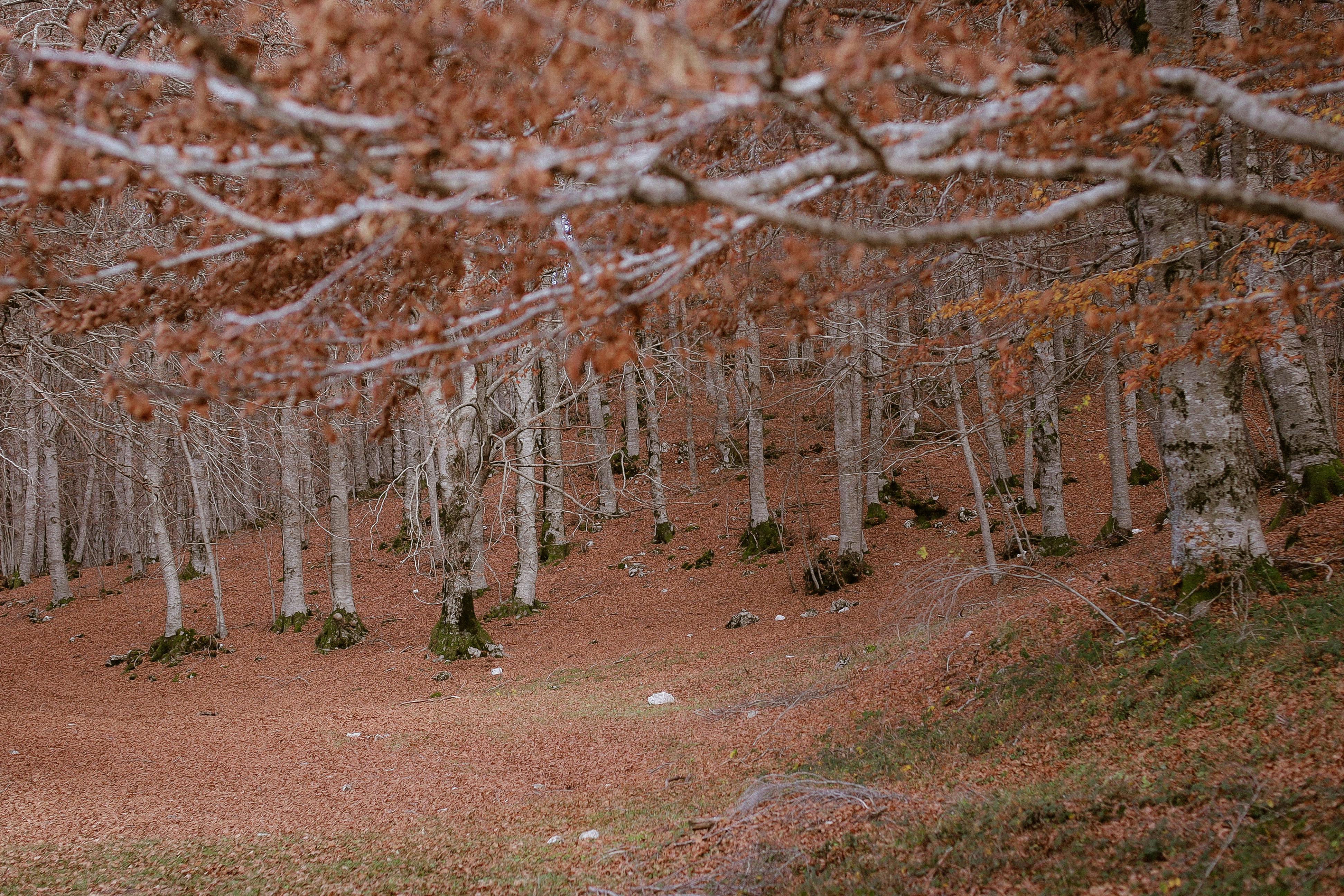 關懷港澳朋友 軍艦岩步道健行淨山與生活適應座談