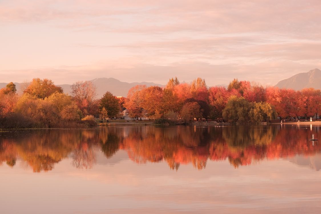 Serene Autumn Lake with Vibrant Reflection · Free Stock Photo