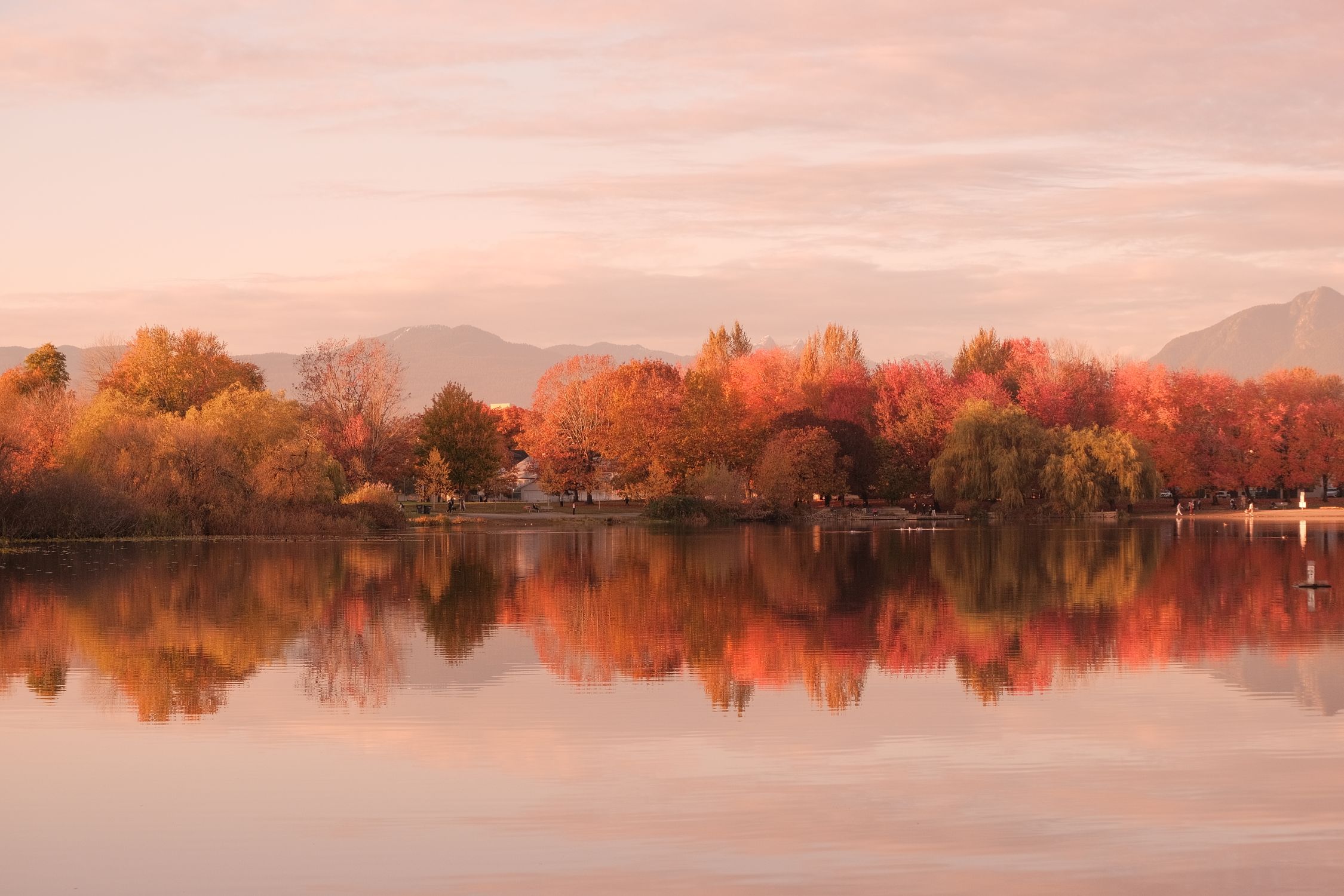 Serene Autumn Lake with Vibrant Reflection · Free Stock Photo