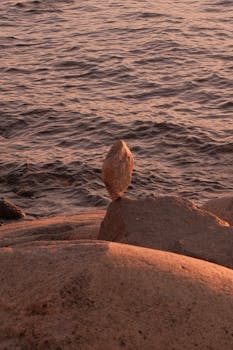 Free stock photo of atardecer, coast, nature