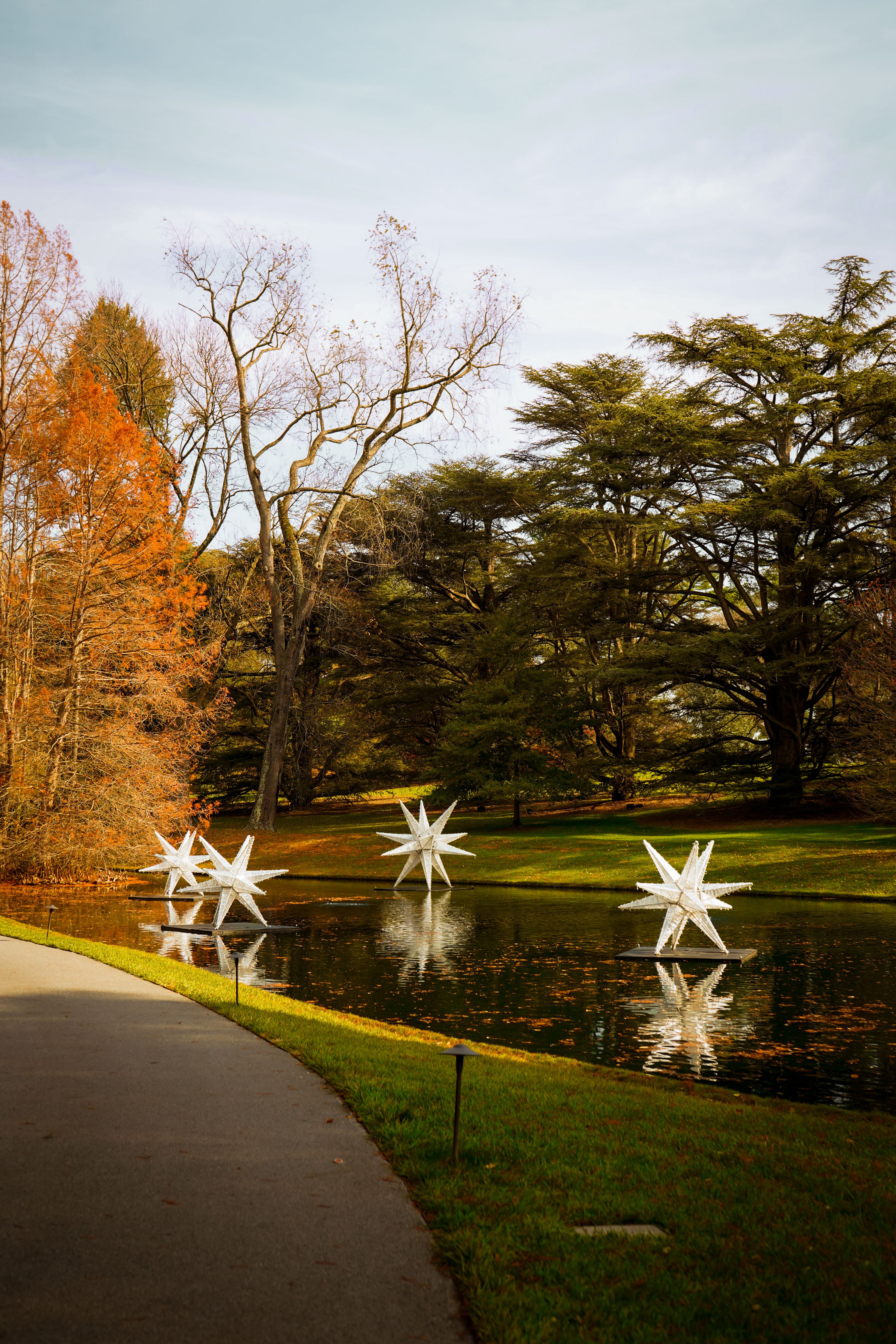 Serene Parkscape with Reflective Water Art · Free Stock Photo