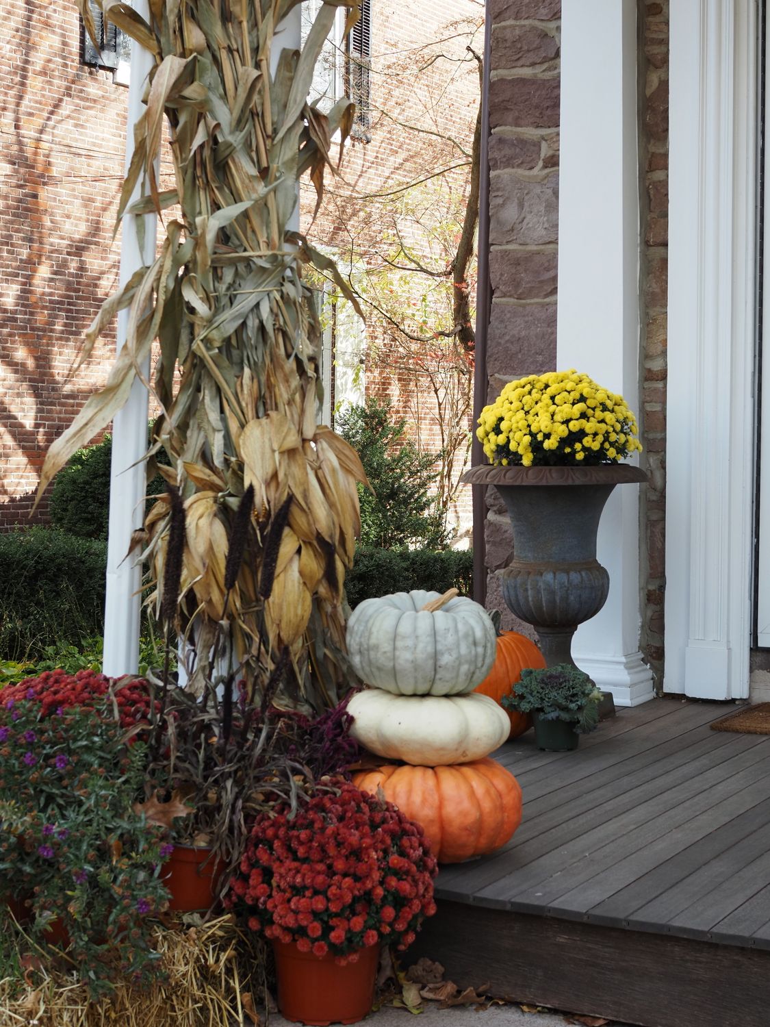 Charming Fall Porch Decor with Pumpkins · Free Stock Photo