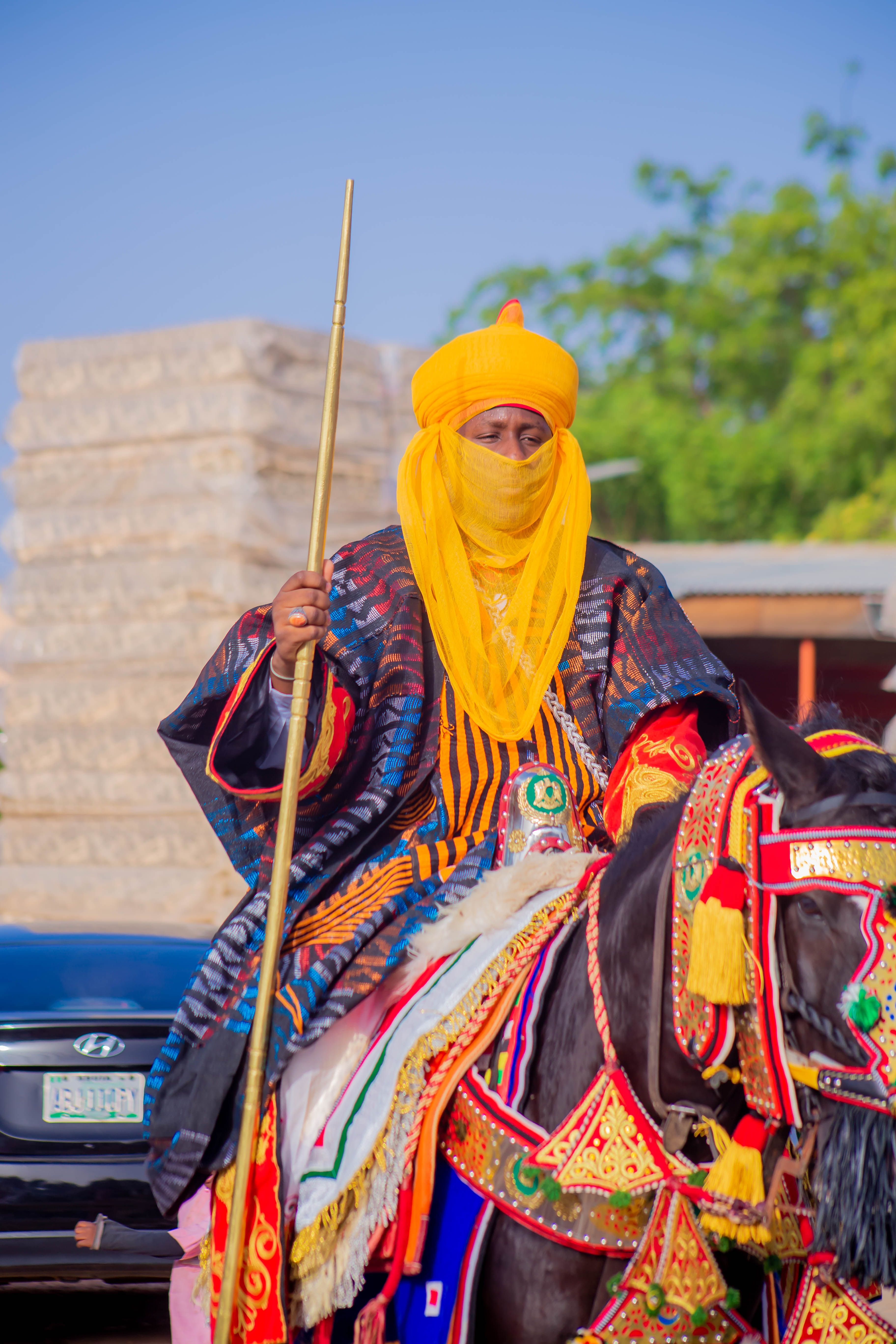 Vibrantly dressed person on a decorated horse during a cultural event outdoors.