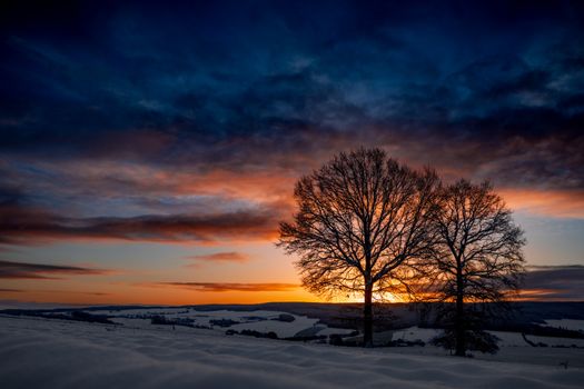 A serene winter sunset with trees silhouetted against a vibrant sky and snowy landscape.