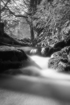 A tranquil black and white image of a waterfall flowing through a lush forest, captured with long exposure.