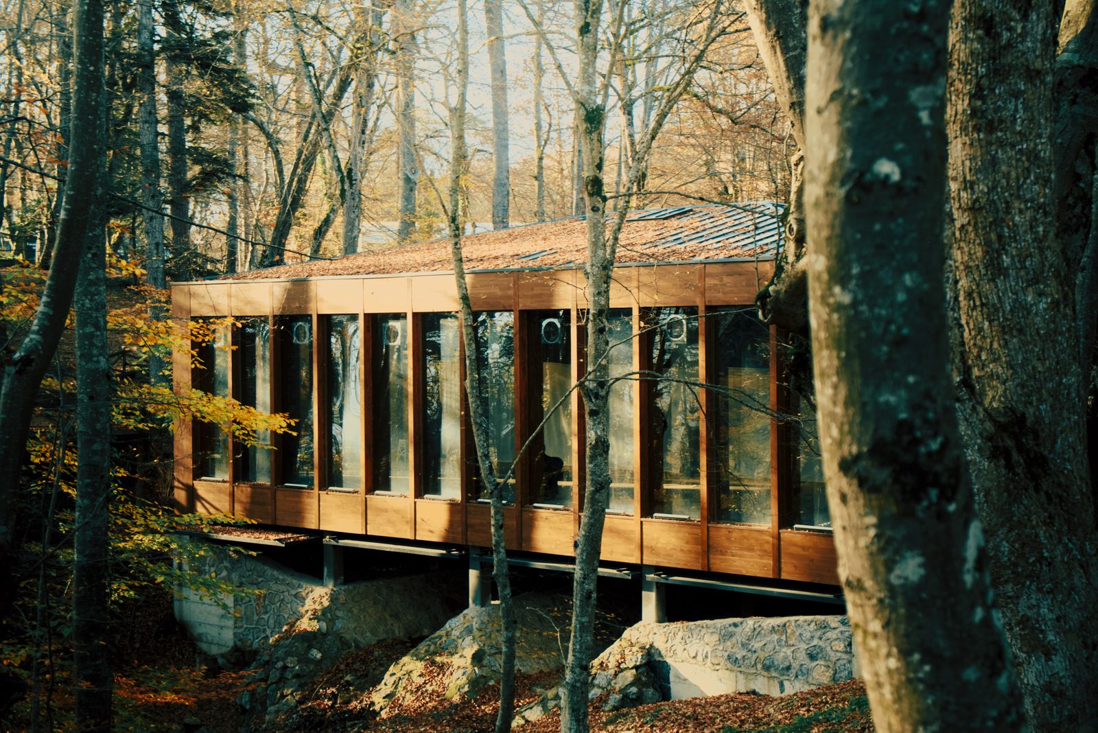 Modern glass cabin surrounded by autumn forest for a secluded nature retreat