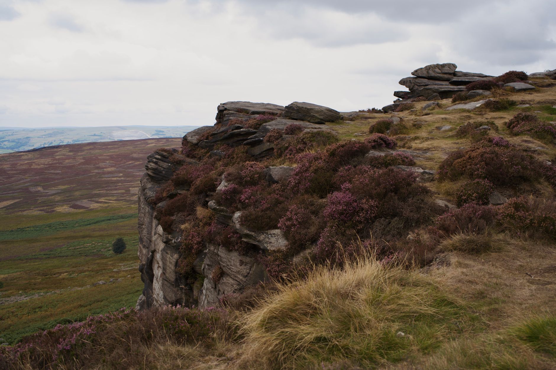 Heather Moorland