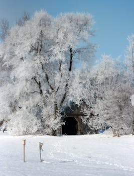 Free stock photo of scenery, snow, winter
