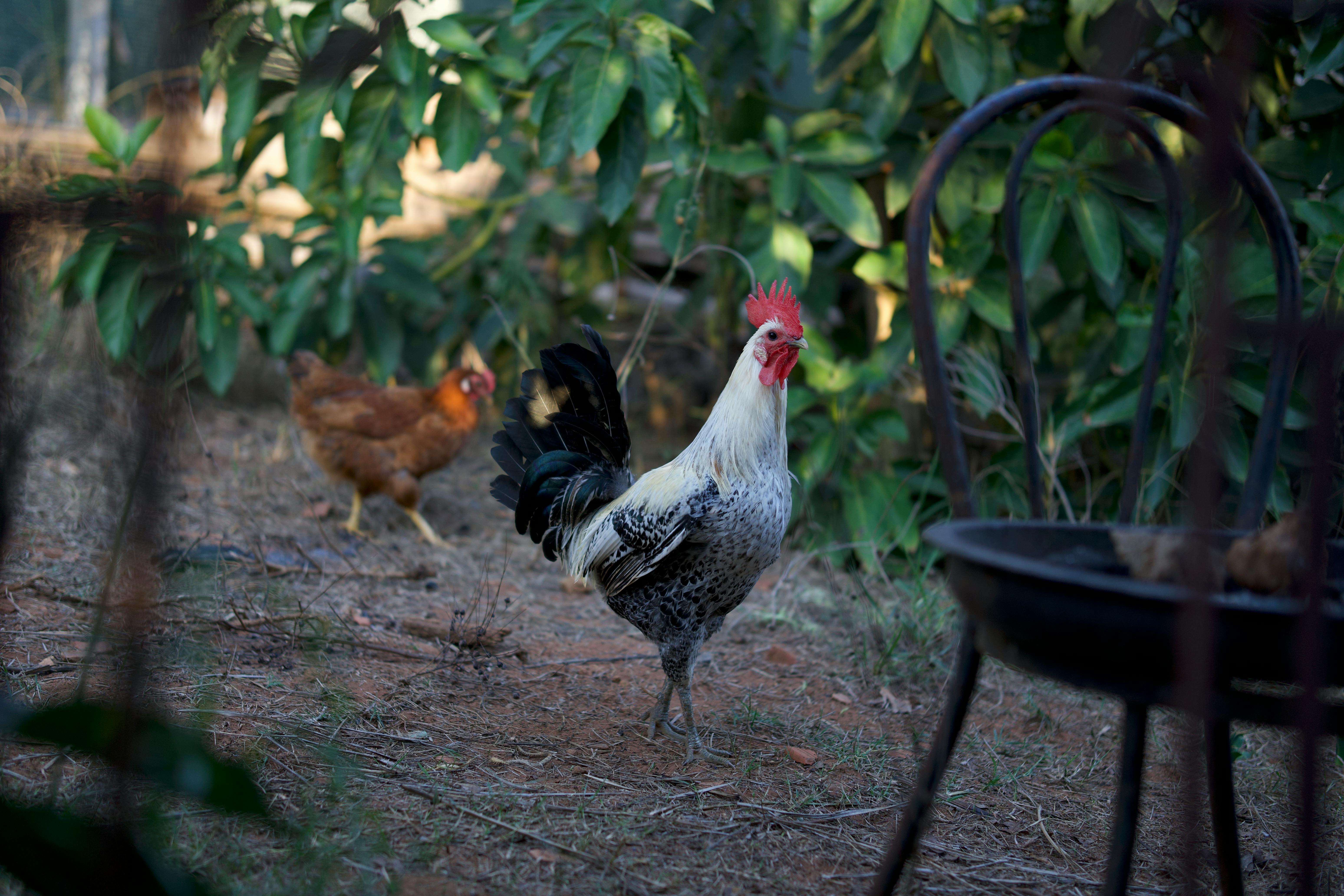 好食好事率團參加2025亞洲農食科技博覽會 玩艸植造奪全球永續獎