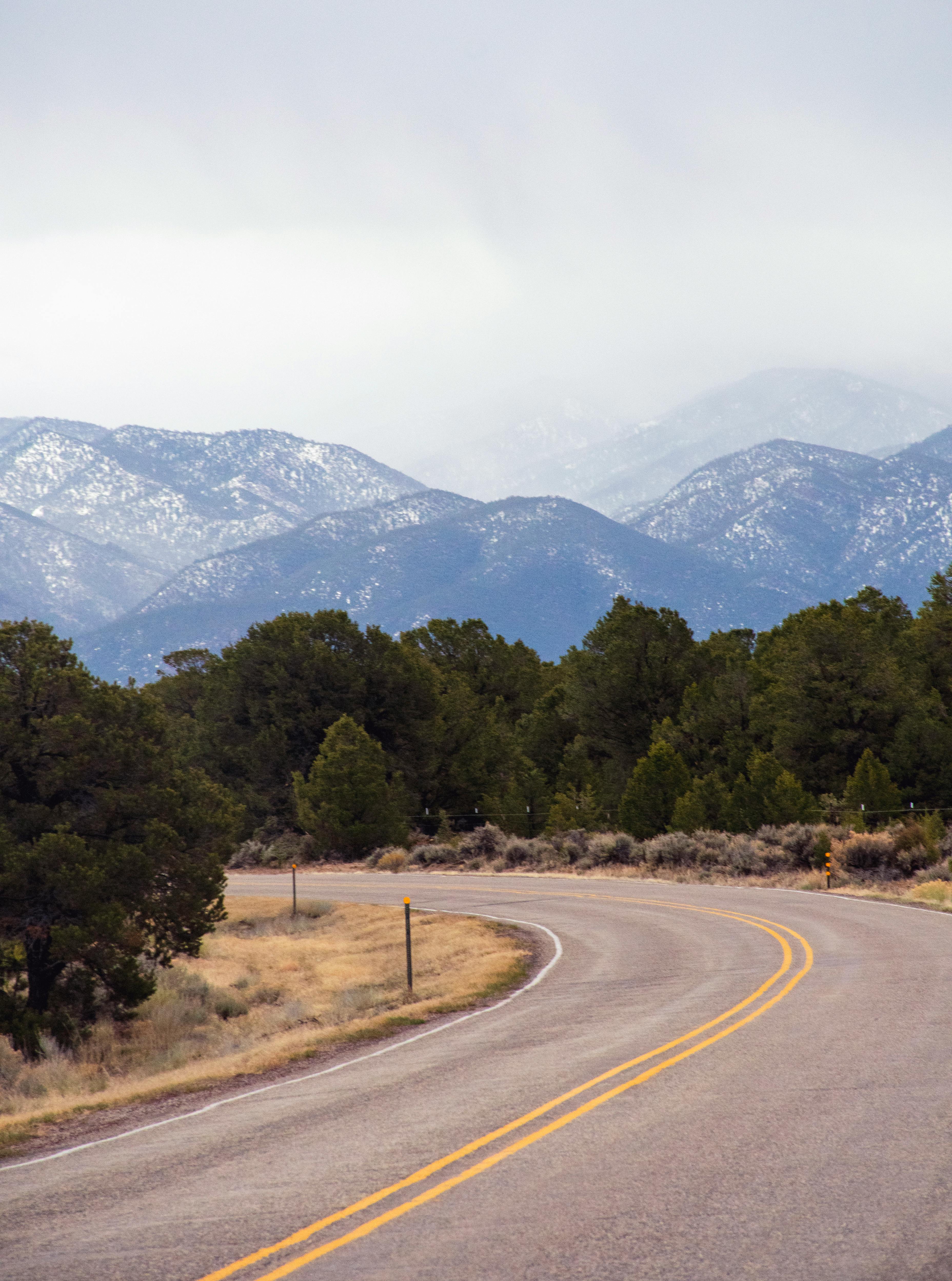 A winding road leads through a forest with mountain views on a misty spring day.