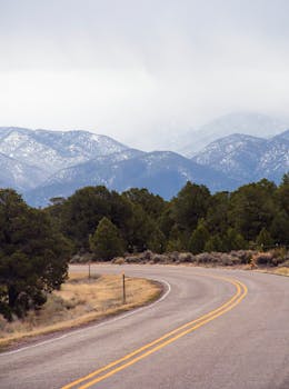 A winding road leads through a forest with mountain views on a misty spring day.