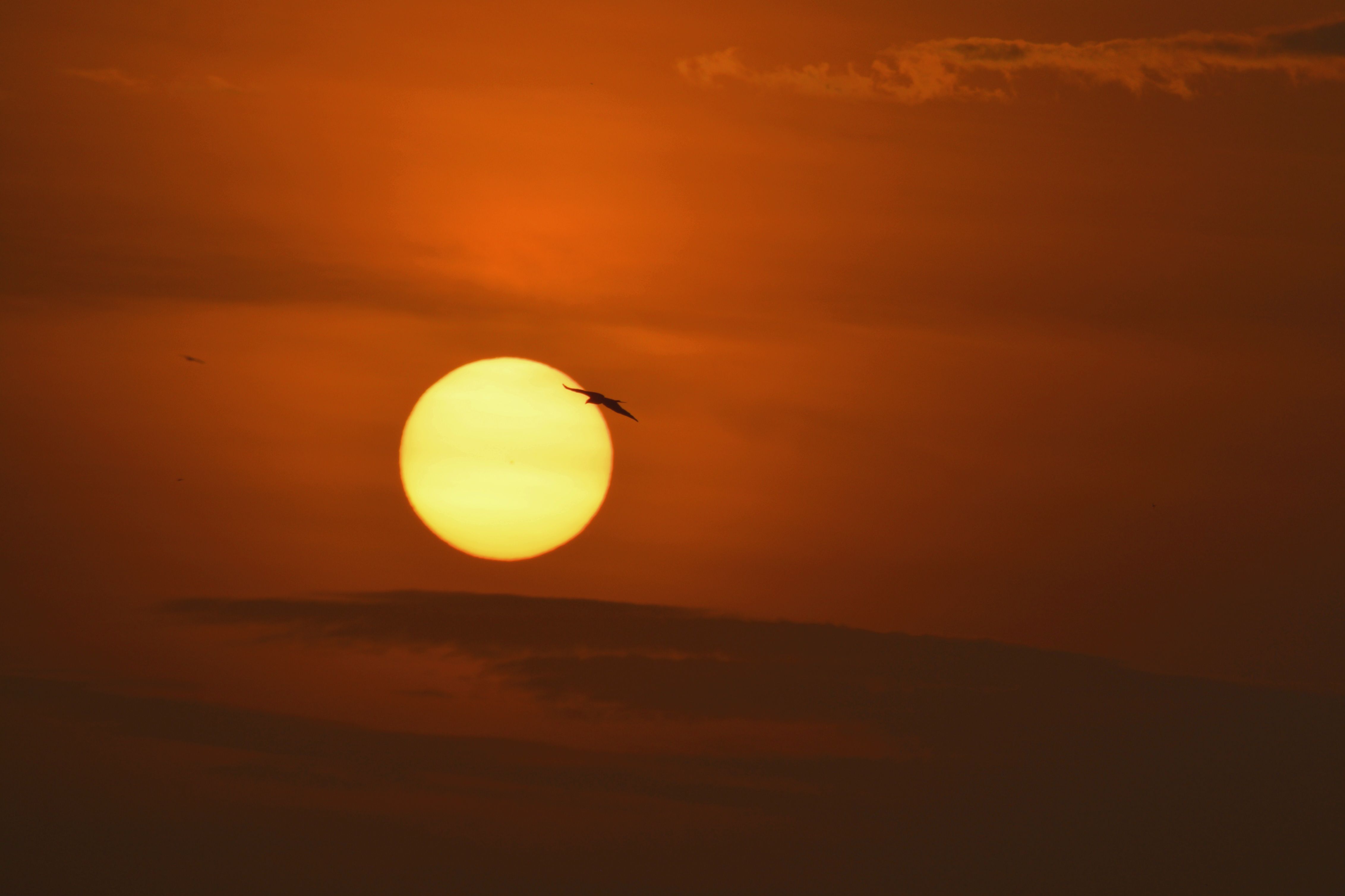 Kihim beach at 6.30am for the birds