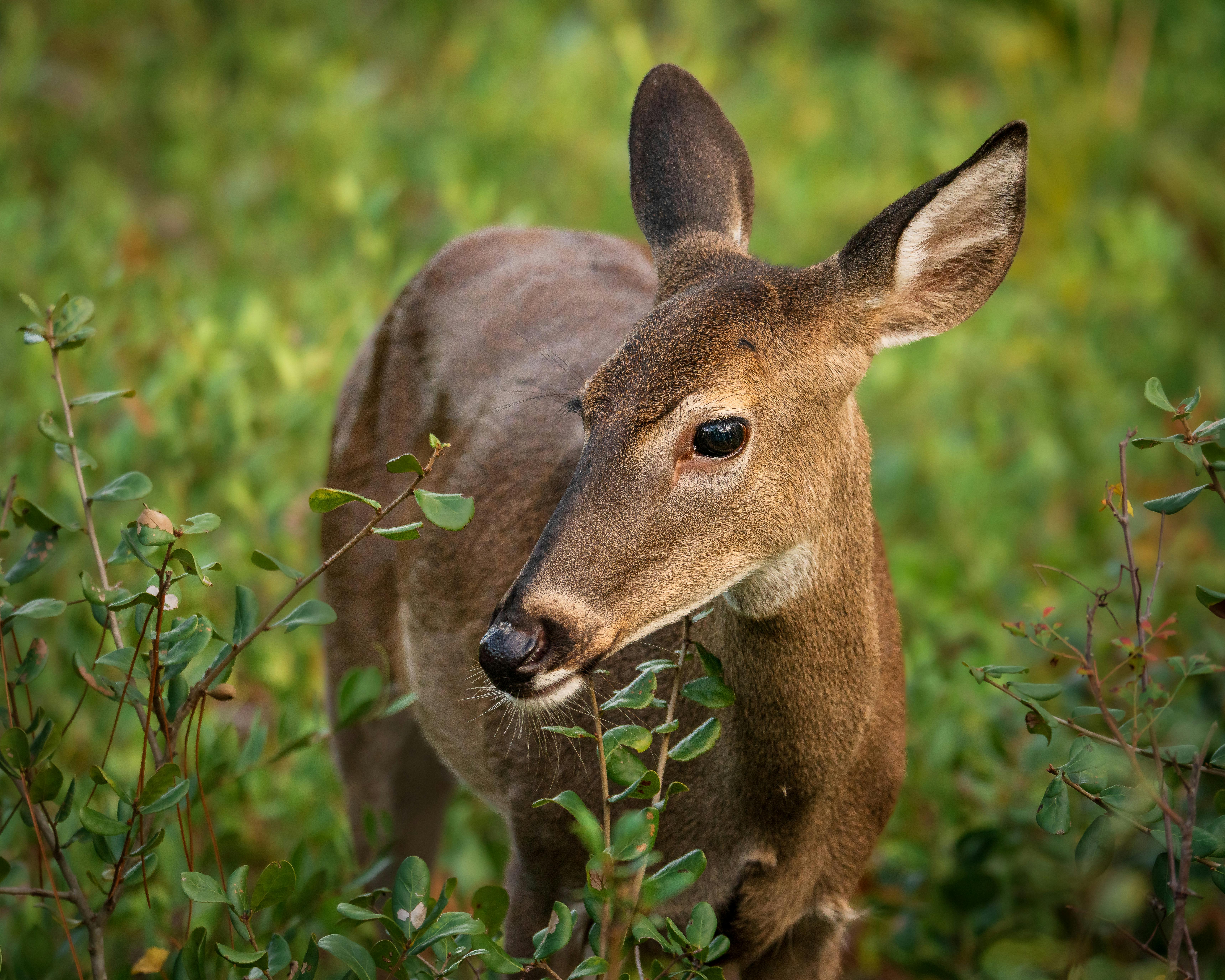 A moment of reflection