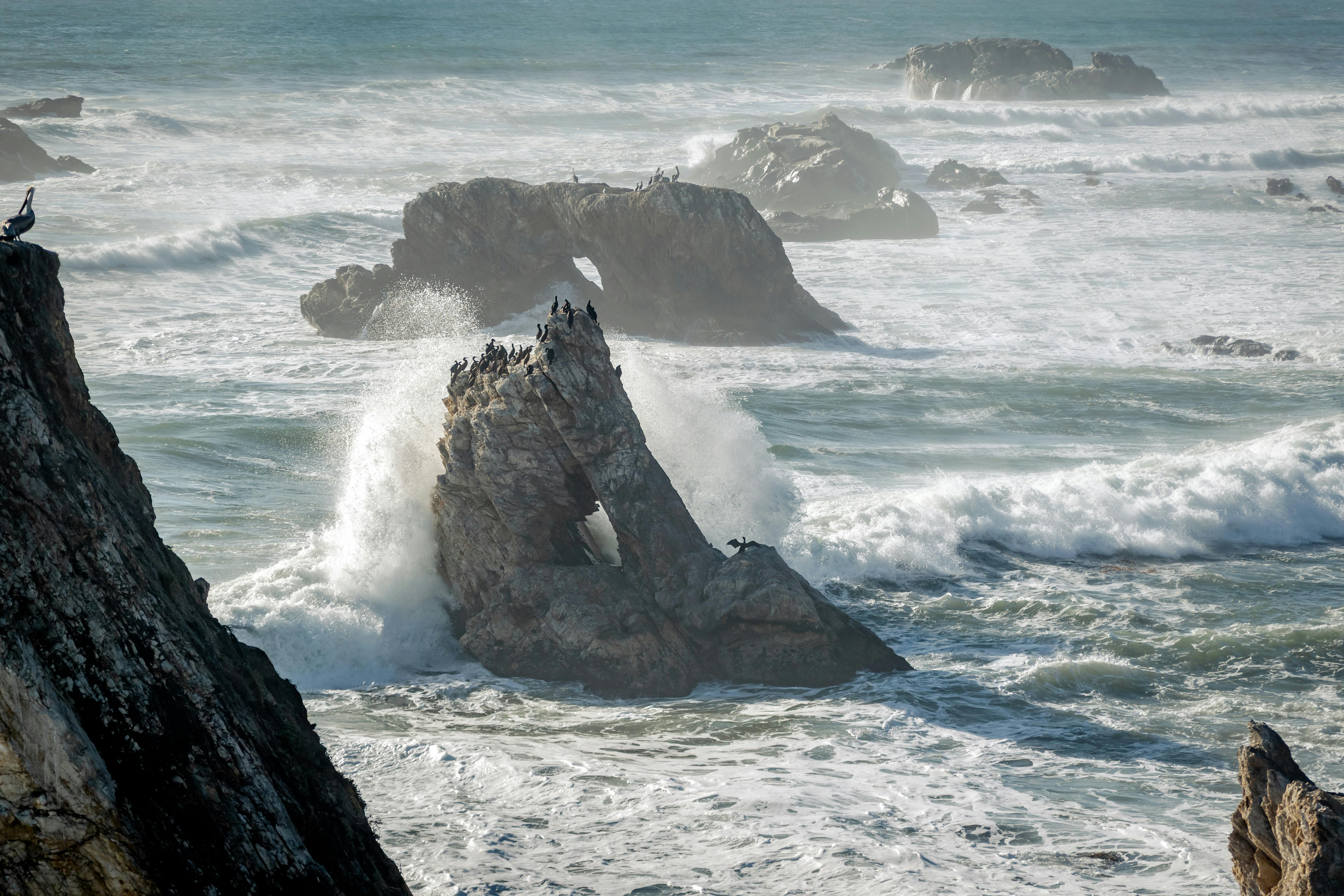 美準聯合國副大使力阻北京操控國際組織敘事