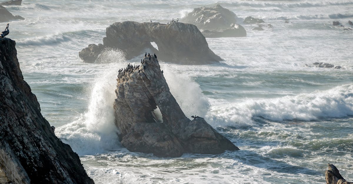 美準聯合國副大使力阻北京操控國際組織敘事
