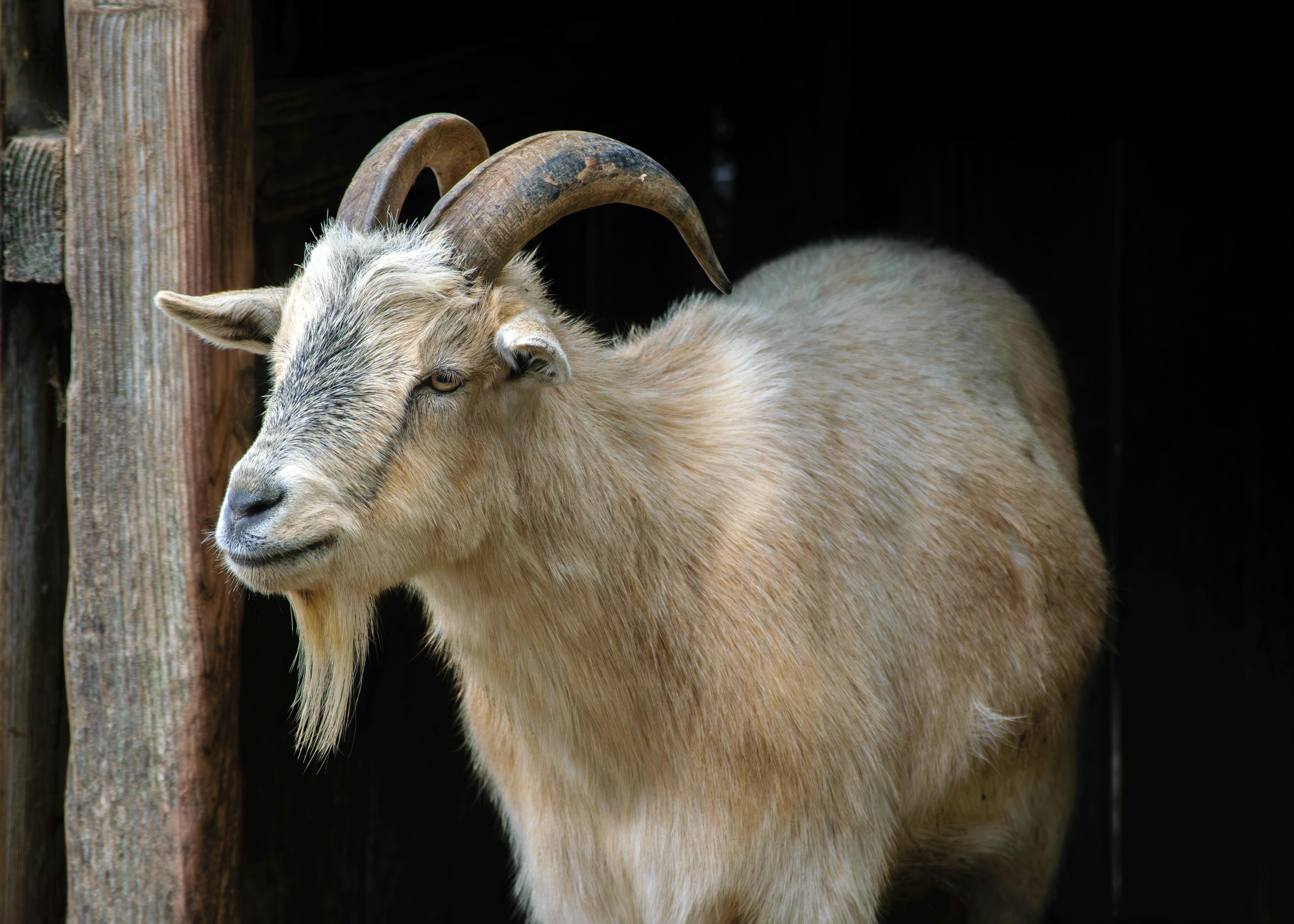 好食好事率團參加2025亞洲農食科技博覽會 玩艸植造奪全球永續獎