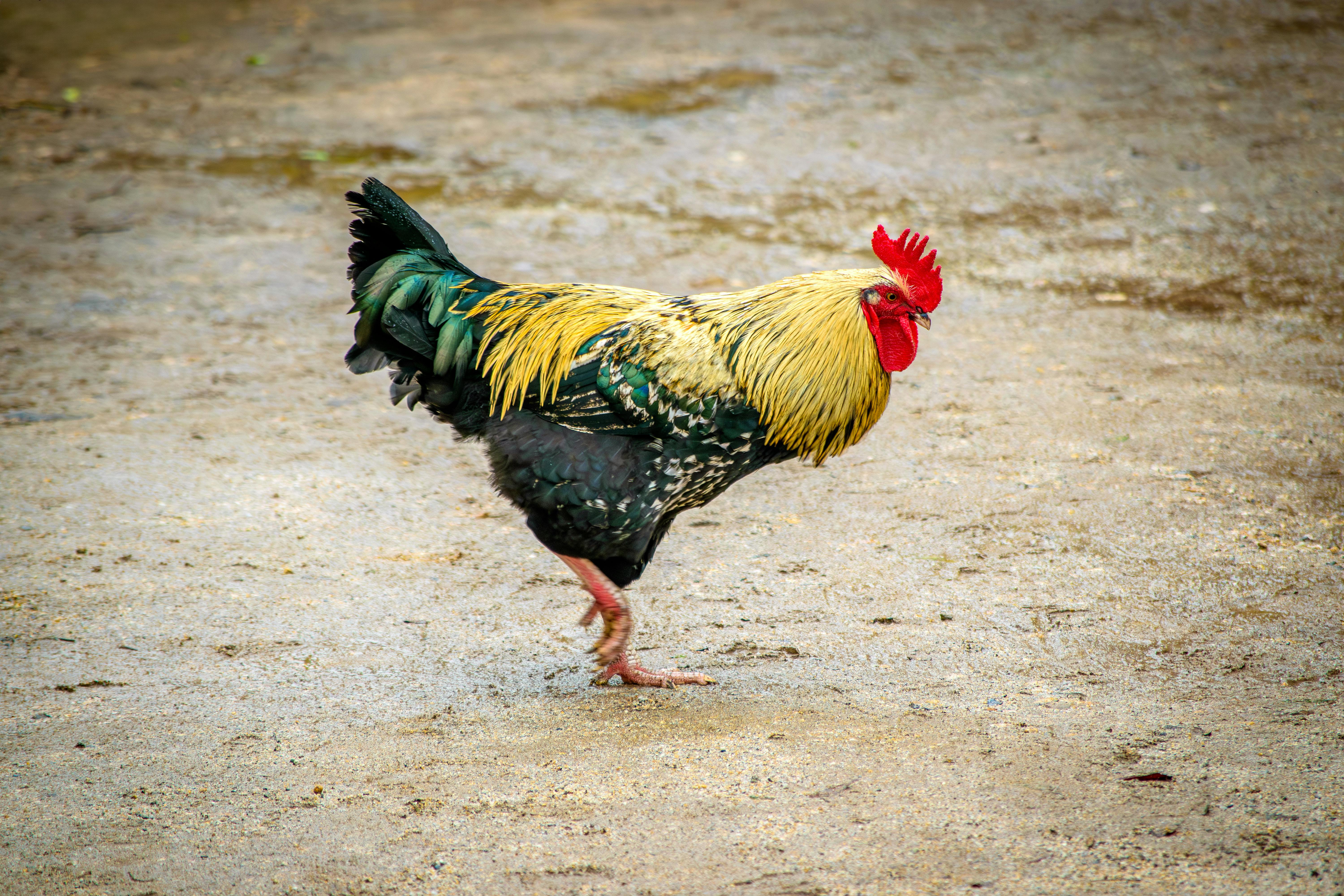 好食好事率團參加2025亞洲農食科技博覽會 玩艸植造奪全球永續獎