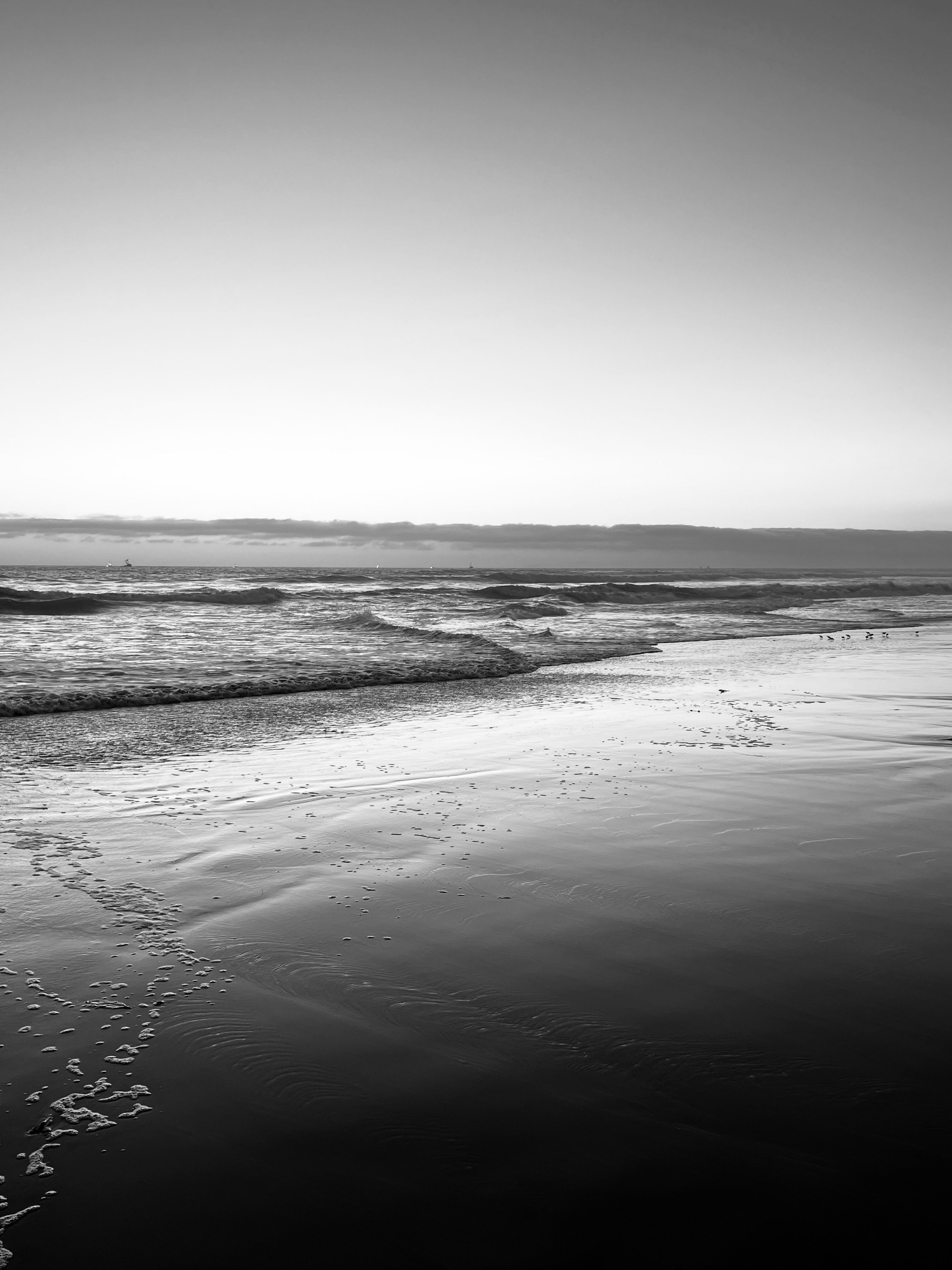 Tranquil Black and White Beach Scene at Sunset · Free Stock Photo