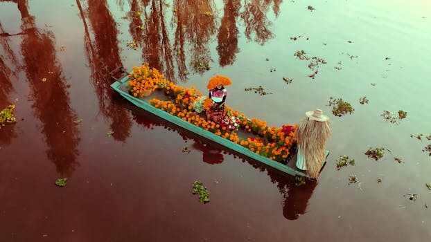 Vibrant traijniera decorated with flowers on Xochimilco for Dia de Muertos.