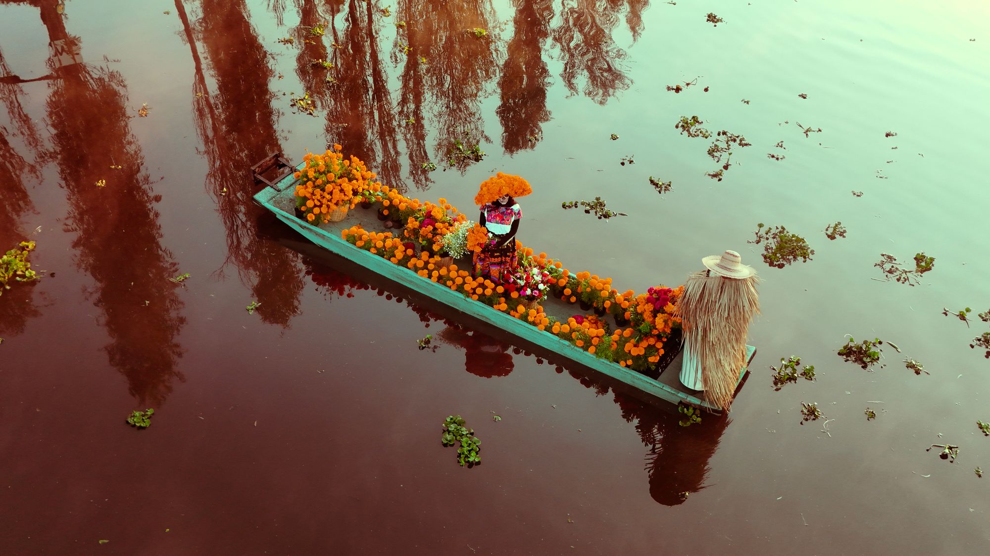 Verduras y quelites frescos sobre una mesa de cocina tradicional mexicana