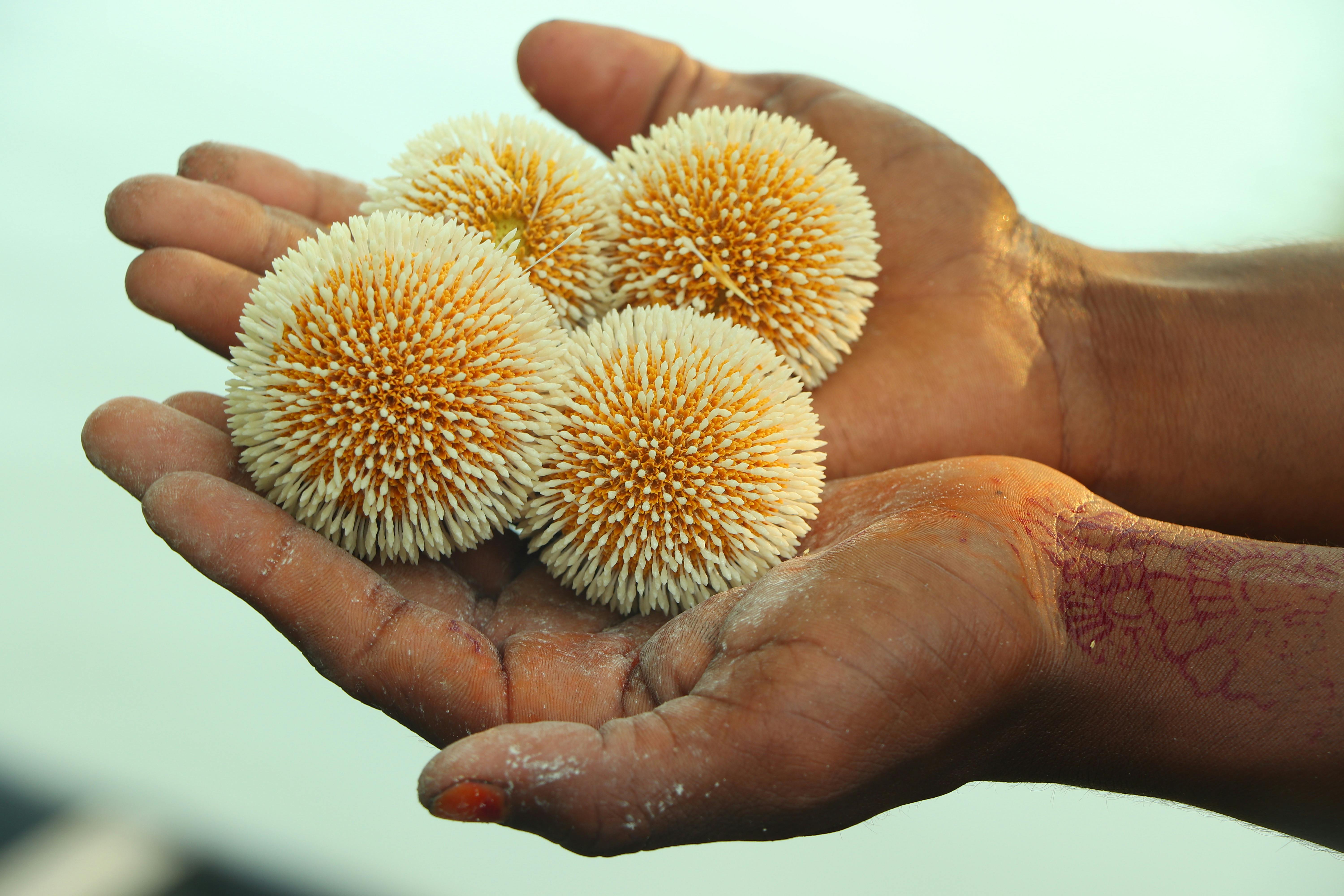 財經：聯準會12月降息意見分歧，市場看好利率維持不變