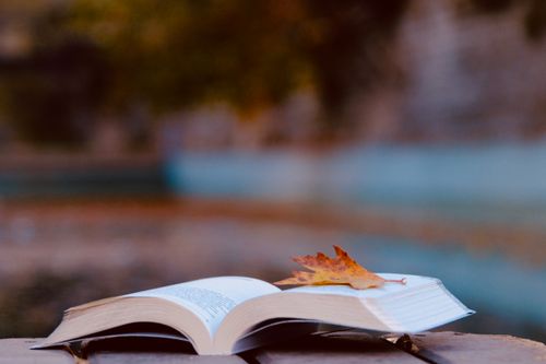 Free An open book with a single autumn leaf rests on a wooden bench, symbolizing quiet reflection. Stock Photo