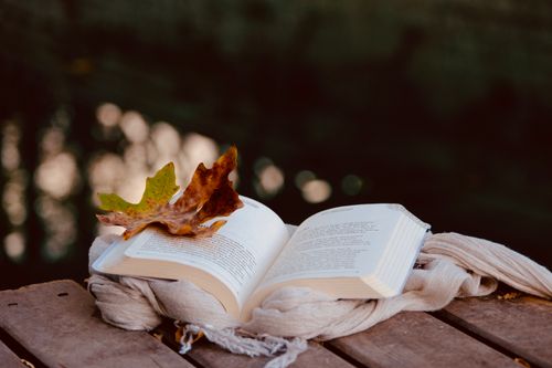 Free Open book with autumn leaf on a wooden deck by water, evoking cozy and serene vibes. Stock Photo