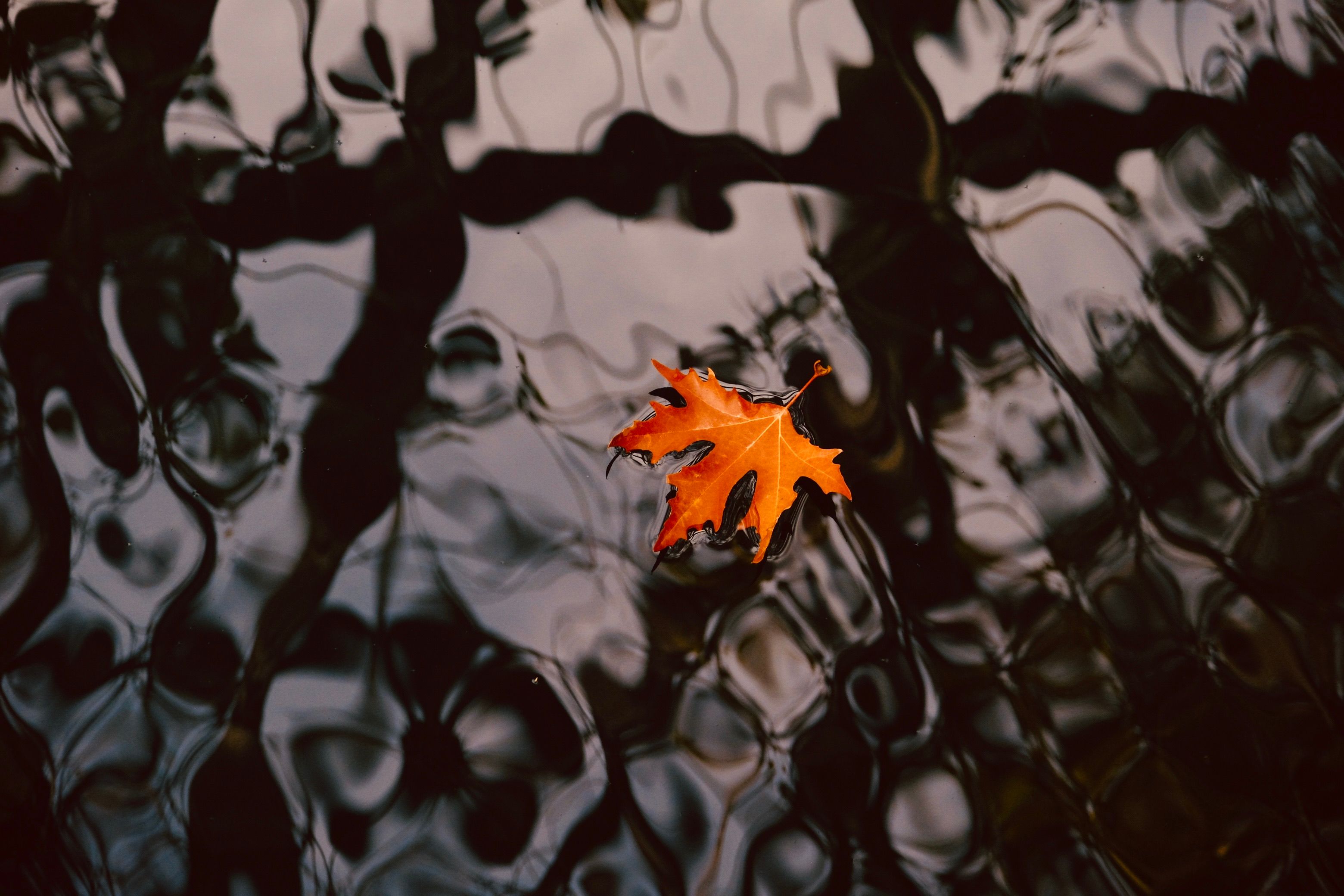 An autumn leaf glides on the rippling water, casting a serene and reflective mood.