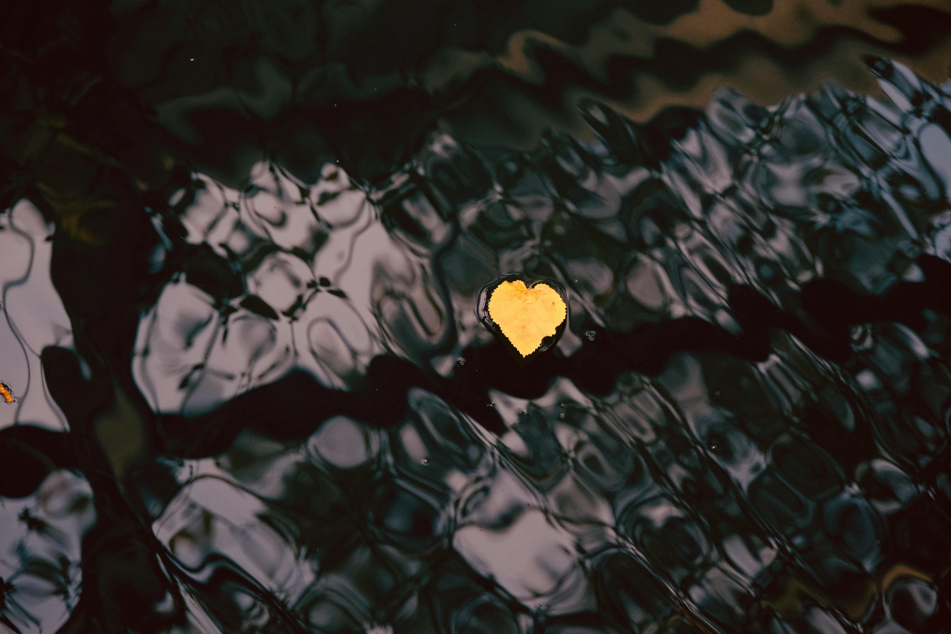 Gratis Immagine gratuita di a forma di cuore, acqua, acqua scura Foto a disposizione