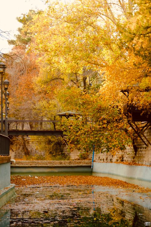 Free Serene autumn landscape featuring a canal, vibrant foliage, and a quaint bridge. Stock Photo
