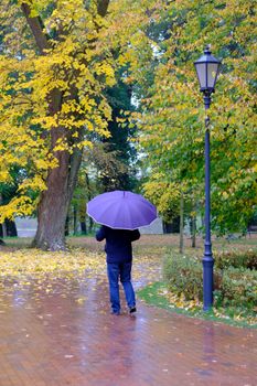 A person with an umbrella strolls through a vibrant autumn park covered in colorful leaves.