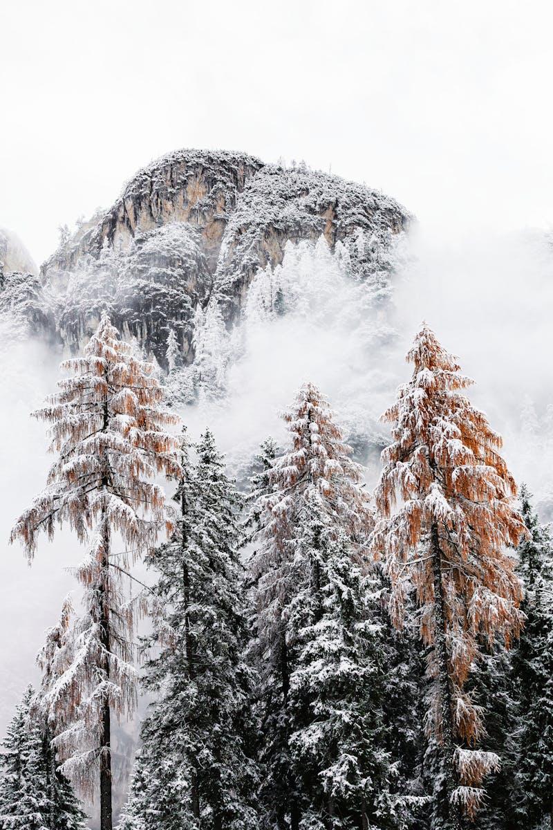 eberhard grossgasteiger