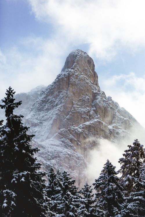 Majestic Snow-Capped Mountain with Pine Trees · Free Stock Photo