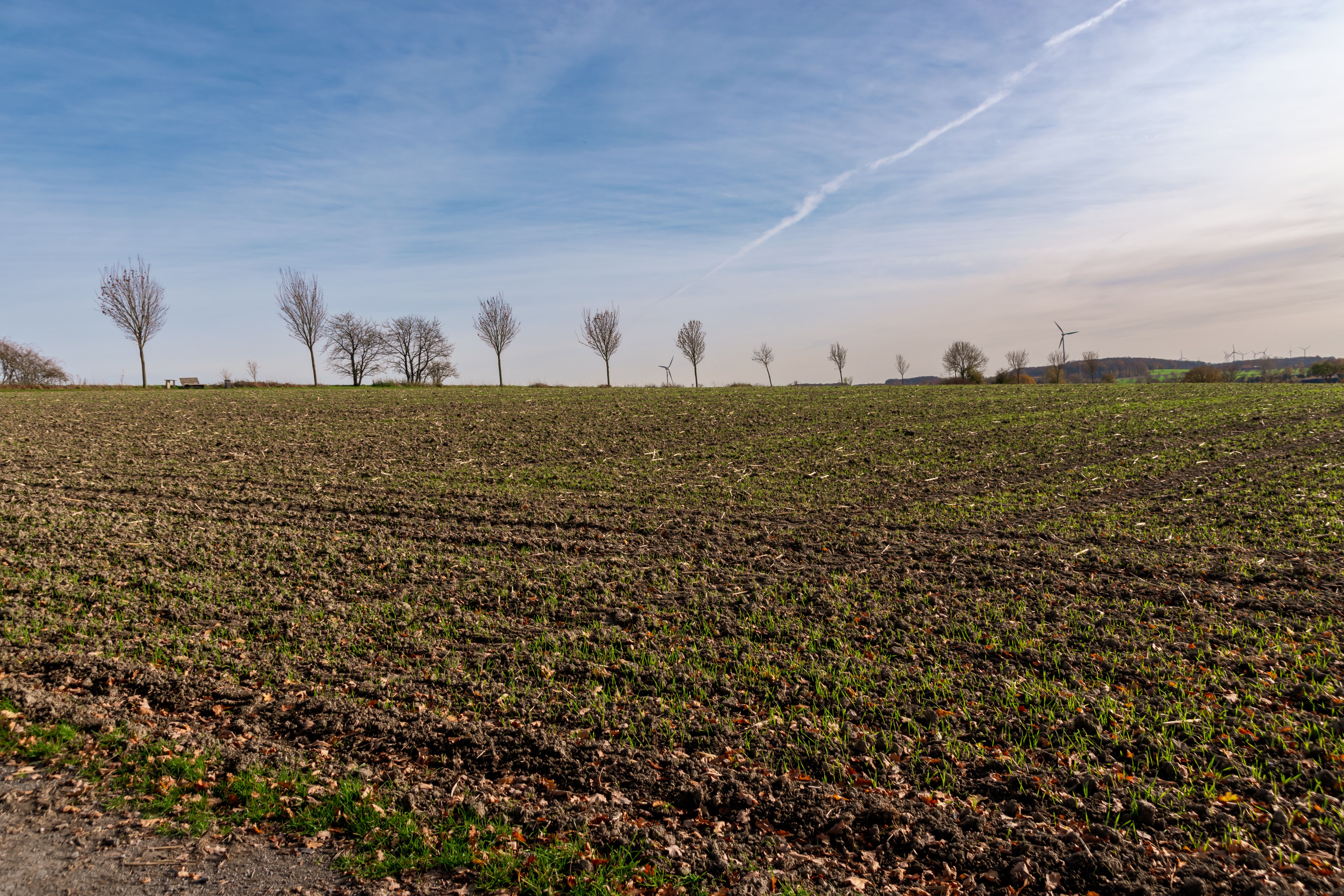 bare land financing