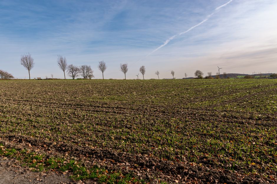 bare land financing